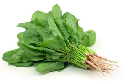 English_Spinach__67562_425x (1)